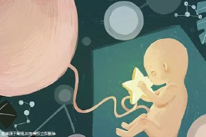 国内试管供卵代孕